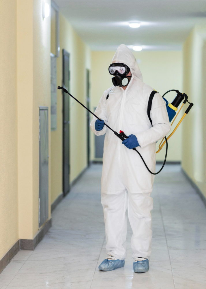 Société anti insectes et nuisibles en Tunisie