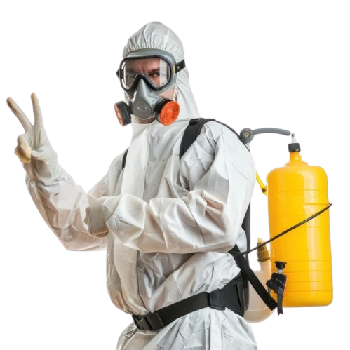 lutte contre les insectes et nuisibles en Tunisie